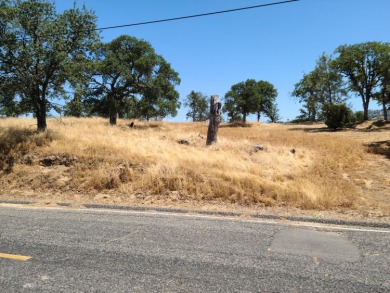 Black Hawk Lake Lot For Sale in Coarsegold California
