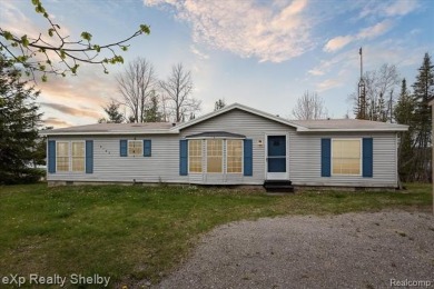 Lake Home For Sale in Lachine, Michigan
