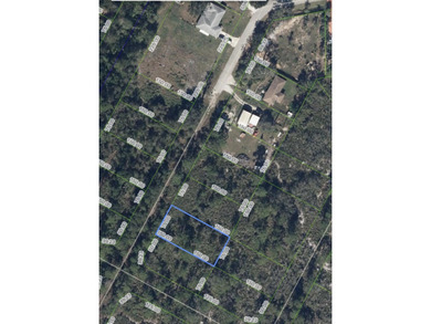 Lake Istokpoga Lot For Sale in Lake Placid Florida