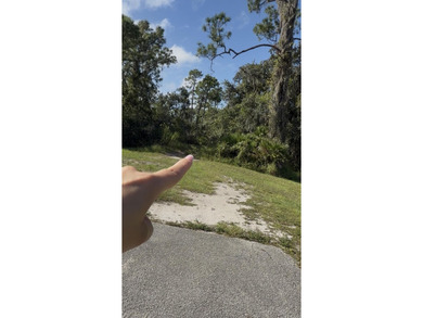 Lake Istokpoga Lot For Sale in Lake Placid Florida