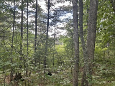 Idlewild Lake Lot For Sale in Idlewild Michigan