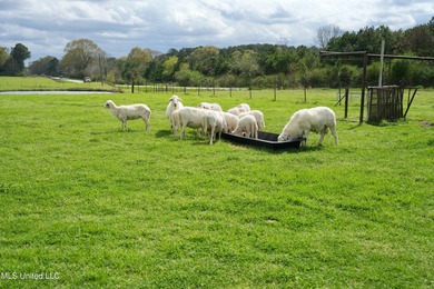 Lake Home For Sale in Tylertown, Mississippi