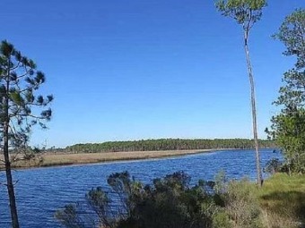 New River - Franklin County Lot For Sale in Carabelle Florida