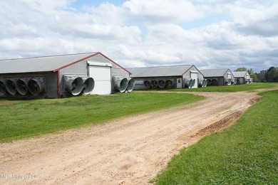 This 6-house poultry broiler farm, situated just north of - photo 2