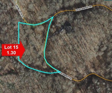 Don't miss this fantastic investment opportunity--over 30 acres - photo 16