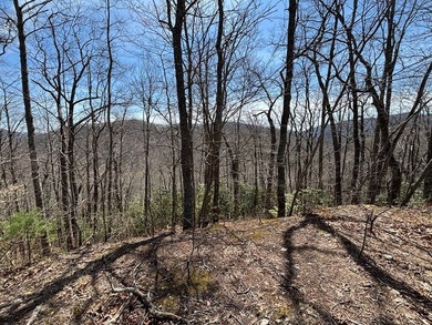 Don't miss this fantastic investment opportunity--over 30 acres - photo 19
