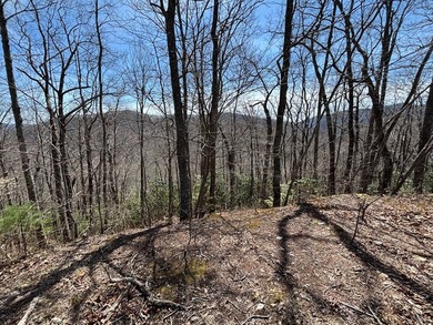 Don't miss this fantastic investment opportunity--over 30 acres - photo 20