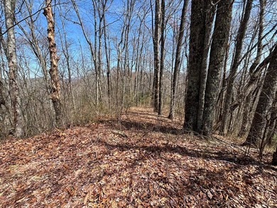 Don't miss this fantastic investment opportunity--over 30 acres - photo 21