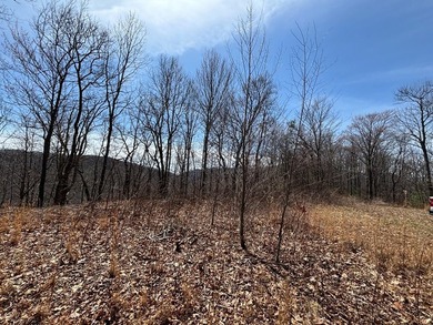 Don't miss this fantastic investment opportunity--over 30 acres - photo 22