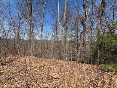 Don't miss this fantastic investment opportunity--over 30 acres - photo 25