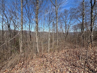 Don't miss this fantastic investment opportunity--over 30 acres - photo 26