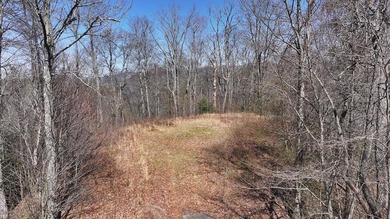Don't miss this fantastic investment opportunity--over 30 acres - photo 45