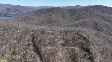 Don't miss this fantastic investment opportunity--over 30 acres - photo 48