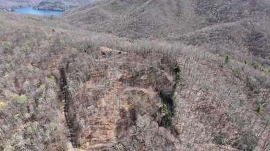Don't miss this fantastic investment opportunity--over 30 acres - photo 49