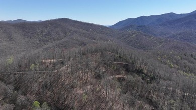 Don't miss this fantastic investment opportunity--over 30 acres - photo 50