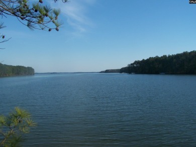 Lake Acreage For Sale in Blair, South Carolina