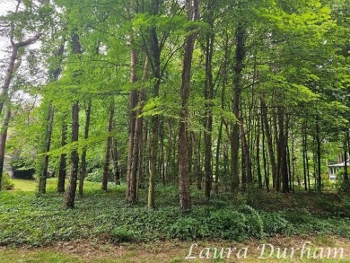 (private lake, pond, creek) Lot For Sale in Saugatuck Michigan