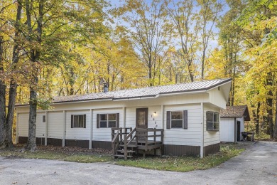Lake Home For Sale in Mancelona, Michigan