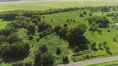 Beautiful 21.36-acre property located on Froman Road in - photo 4