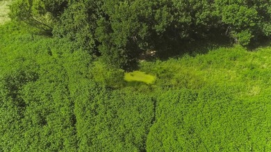 Beautiful 21.36-acre property located on Froman Road in - photo 6