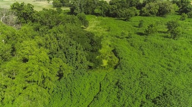 Beautiful 21.36-acre property located on Froman Road in - photo 8