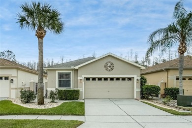 Lake Home For Sale in Land O Lakes, Florida