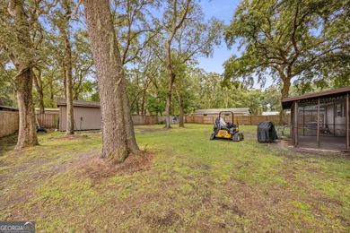 Situated in the charming and historic mid-town area of St Marys - photo 26