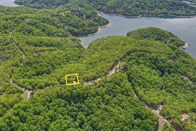 Investor Package on Beaver Lake!  Home and +/-70acres. Ozark - photo 42