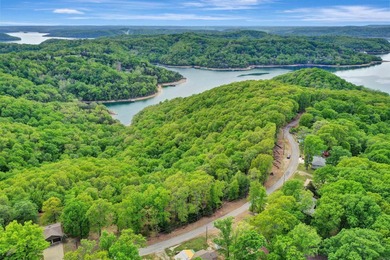 Investor Package on Beaver Lake!  Home and +/-70acres. Ozark - photo 43