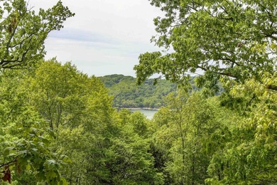 Investor Package on Beaver Lake!  Home and +/-70acres. Ozark - photo 44
