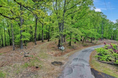 Investor Package on Beaver Lake!  Home and +/-70acres. Ozark - photo 45
