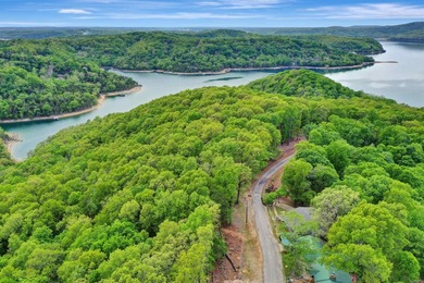 Investor Package on Beaver Lake!  Home and +/-70acres. Ozark - photo 46