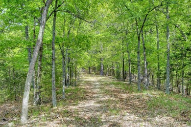Investor Package on Beaver Lake!  Home and +/-70acres. Ozark - photo 47