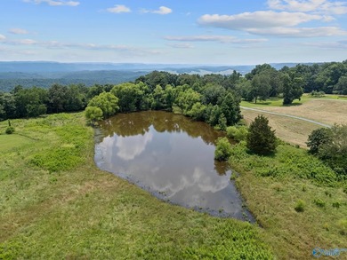 Breathtaking views from every window of this stunning estate on - photo 48