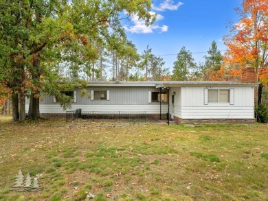 Lake Home For Sale in Lewiston, Michigan