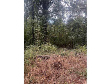 7 acres, wooded with road frontage on Williams Cutoff Road. Very - photo 2