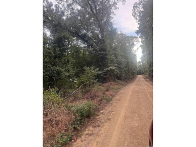 7 acres, wooded with road frontage on Williams Cutoff Road. Very - photo 3