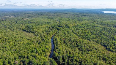 Lake Acreage For Sale in Unity, Maine