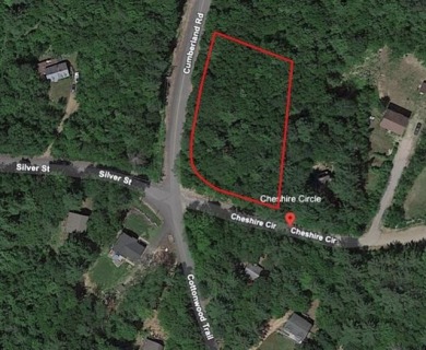 Lake Winnipesaukee Lot For Sale in Gilford New Hampshire
