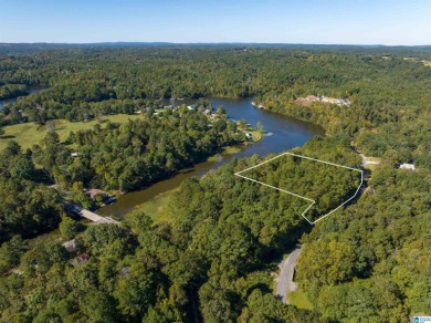 224 Feet of LAKEFRONT PROPERTY! Perfect spot on beautiful - photo 2