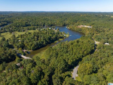 224 Feet of LAKEFRONT PROPERTY! Perfect spot on beautiful - photo 4