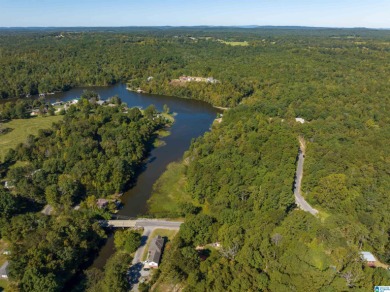 224 Feet of LAKEFRONT PROPERTY! Perfect spot on beautiful - photo 5