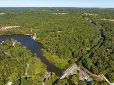 224 Feet of LAKEFRONT PROPERTY! Perfect spot on beautiful - photo 7