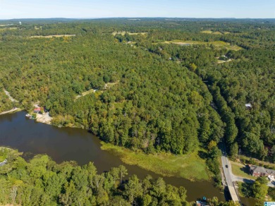 224 Feet of LAKEFRONT PROPERTY! Perfect spot on beautiful - photo 8