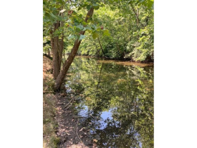 Lake Acreage For Sale in Buchanan, Michigan