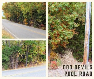Table Rock Lake Lot For Sale in Ridgedale Missouri