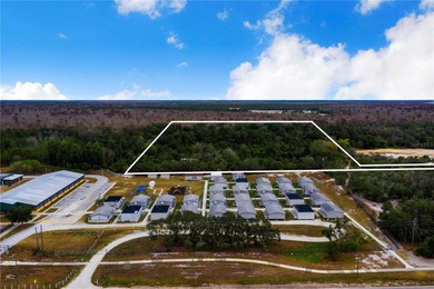 Lake Marion - Polk County Acreage For Sale in Poinciana Florida