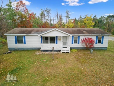 Lake Home For Sale in Lewiston, Michigan