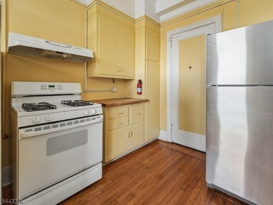 Discover the potential of this 1-bedroom residence with sweeping - photo 8