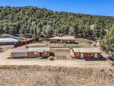 Charming creekside Colorado property featuring a main home - photo 1